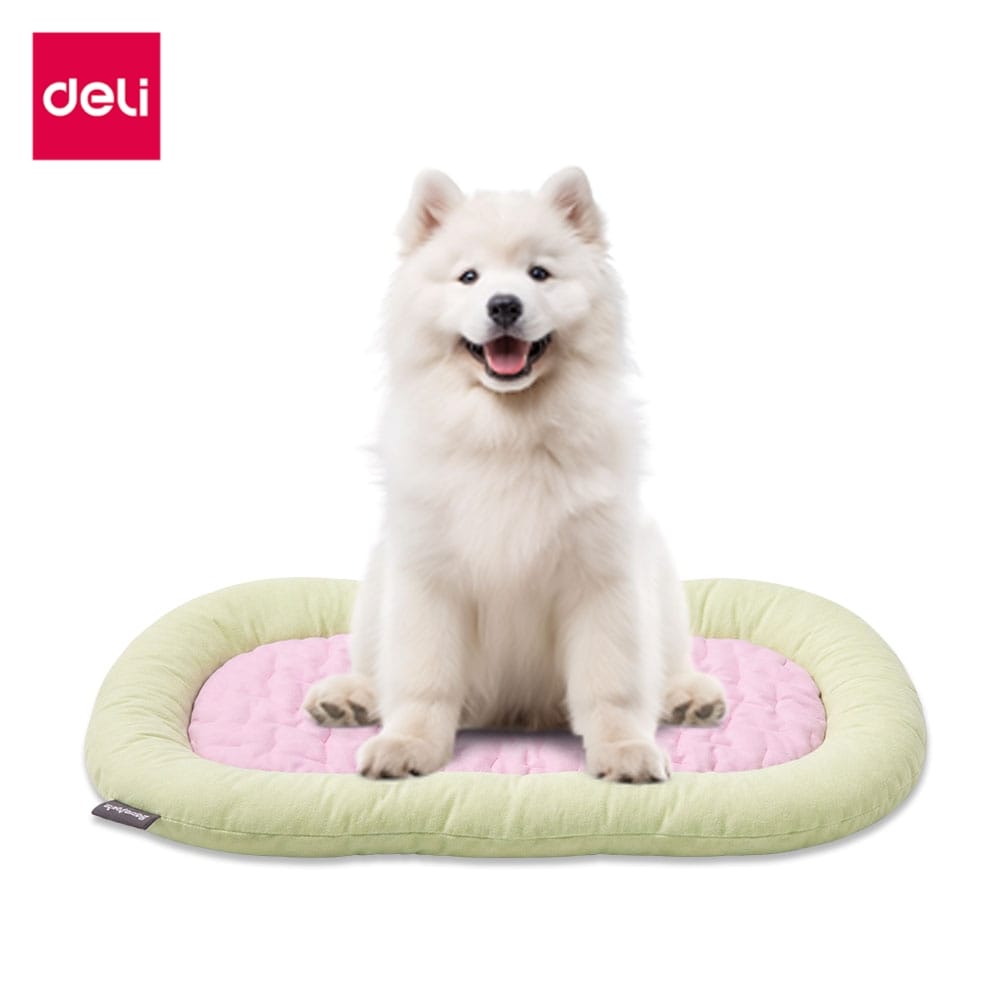 เบาะนอนสัตว์เลี้ยง BEMBAM BM603-GN-01 85X60X7 CM เขียวชมพู_11